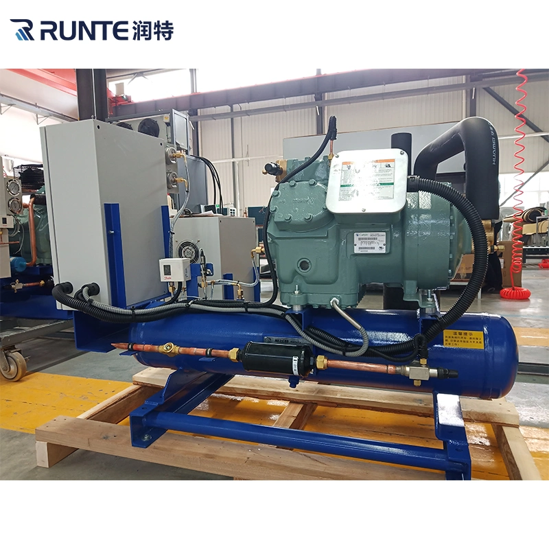 Runte Brand Walk in Cooler Factory Price Meat Blast Frozen Foods Freezing Room Cold Storage Single Compressor Condensing Unit with Bizter Compressor