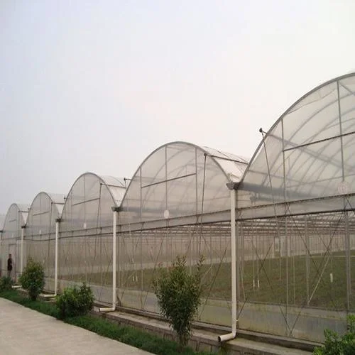 Cheap Price Customized Hot Galvanized Steel Frame Commercial Plastic Greenhouses Tomato Greenhouse