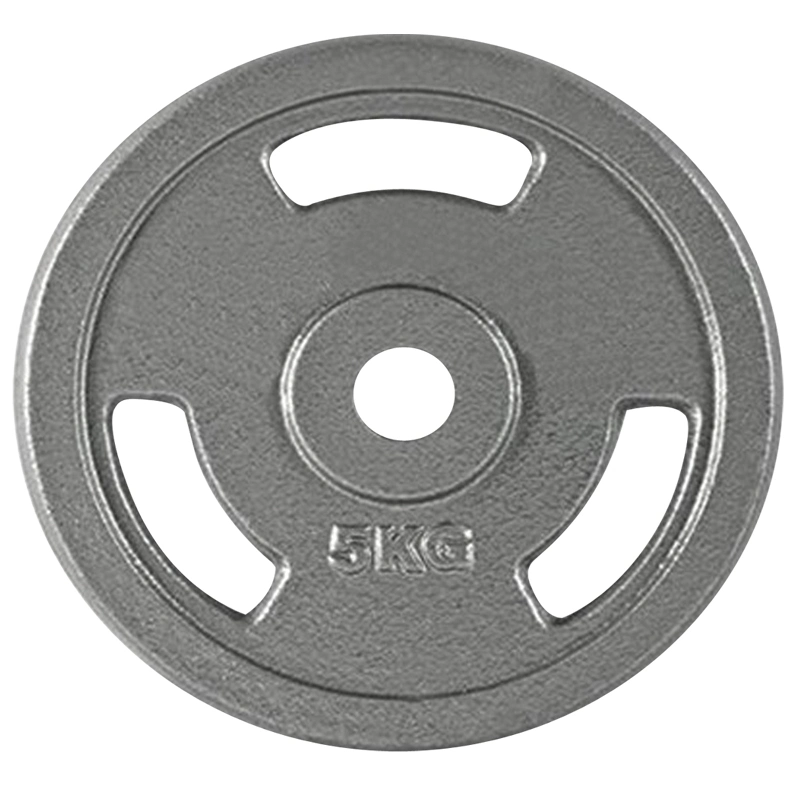 Popular Gray Weight Plate Dumbbell Plate with Different Weight