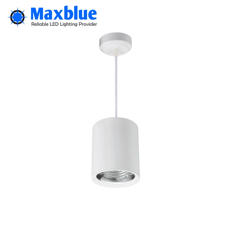 High quality/High cost performance  30W 220V Surface Mounted LED Downlight Pendant Ceiling Lamp