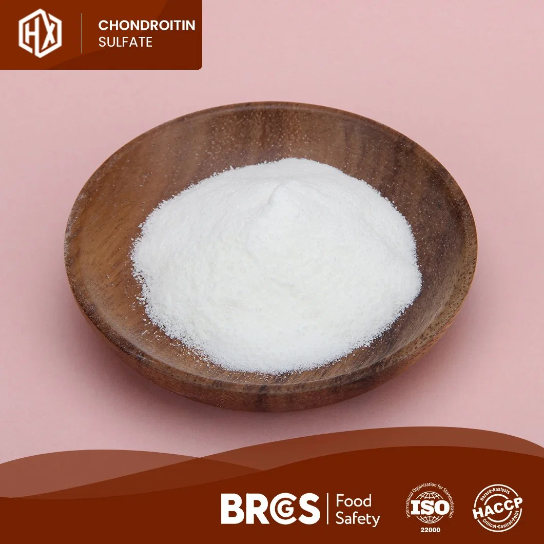 Haoxiang Supply Food Grade Pure Chicken Bone Chondroitin Sulfate Powder for Bone Health OEM Customized Improves Bone Density
