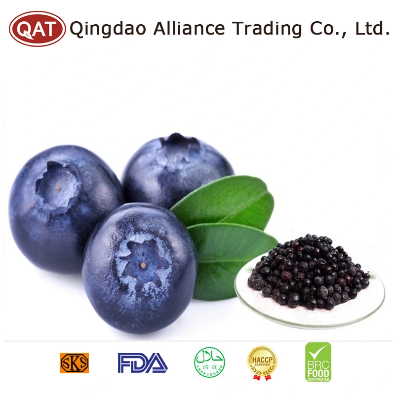 Top Quality Frozen Blueberry with Good Price