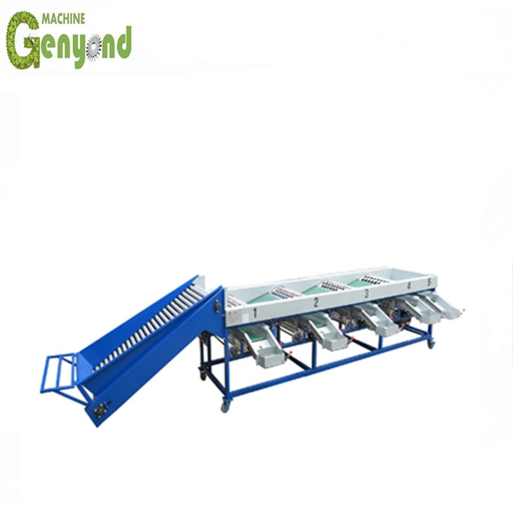 Original Factory Industrial Potato Sorting Machine