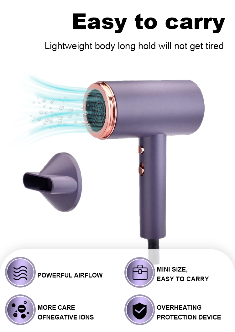 Negative Lon Electrical Househair Dryer