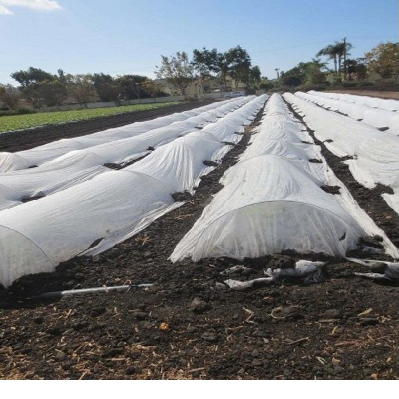 PP Spunbond Nonwoven Fabric for Farm Greenhouse