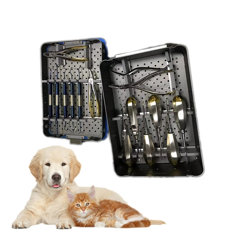 Veterinary Oral Basic Dental Surgery Instruments Set Vet Pets Small Animal Dental Surgical Instruments Kit