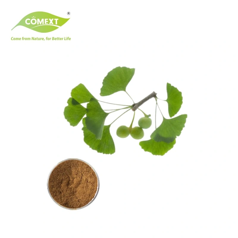 Coemxt Factory Direct Supply Free Sample 24% Total Flavones 6% Terpene Lactones Ginkgo Biloba Extract for Supplement