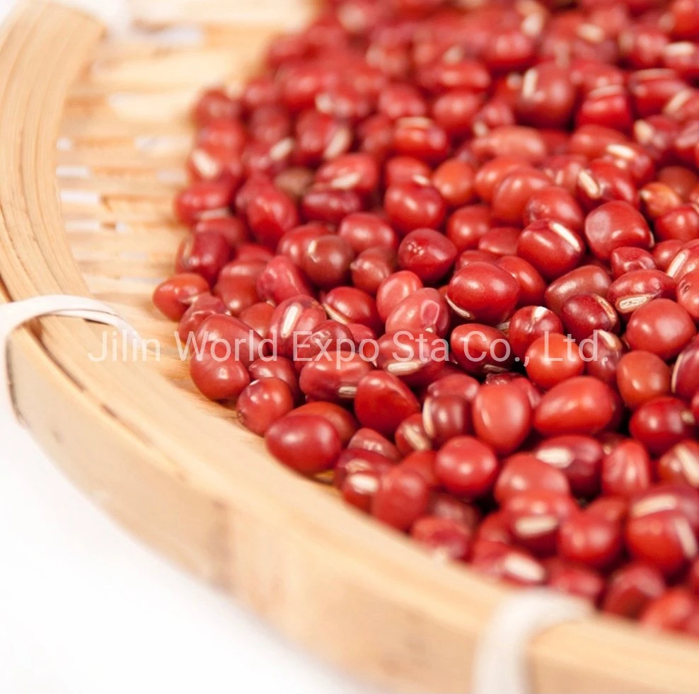 Wholesale/Supplier Dried Red Beans 4.5mm for Food