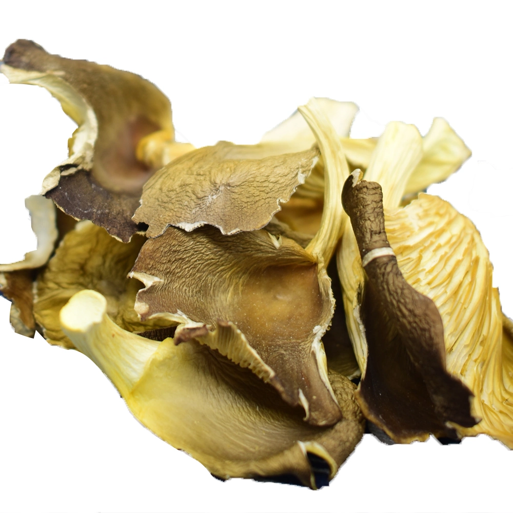 Small Umbelliferae Sun Dried Oyster Mushroom with High Value