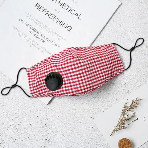 Colorful Customized Washable Cloth Face Cover with Pm 2.5 Filter Anti Dust Safety Face Cover