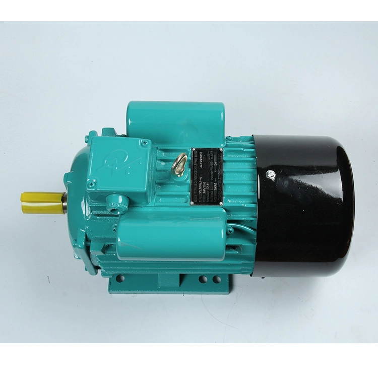 0.55HP 1HP 7.5HP 10HP Yc Series Heavy Duty Single Phase 220V Capacitor Start Electric Motors