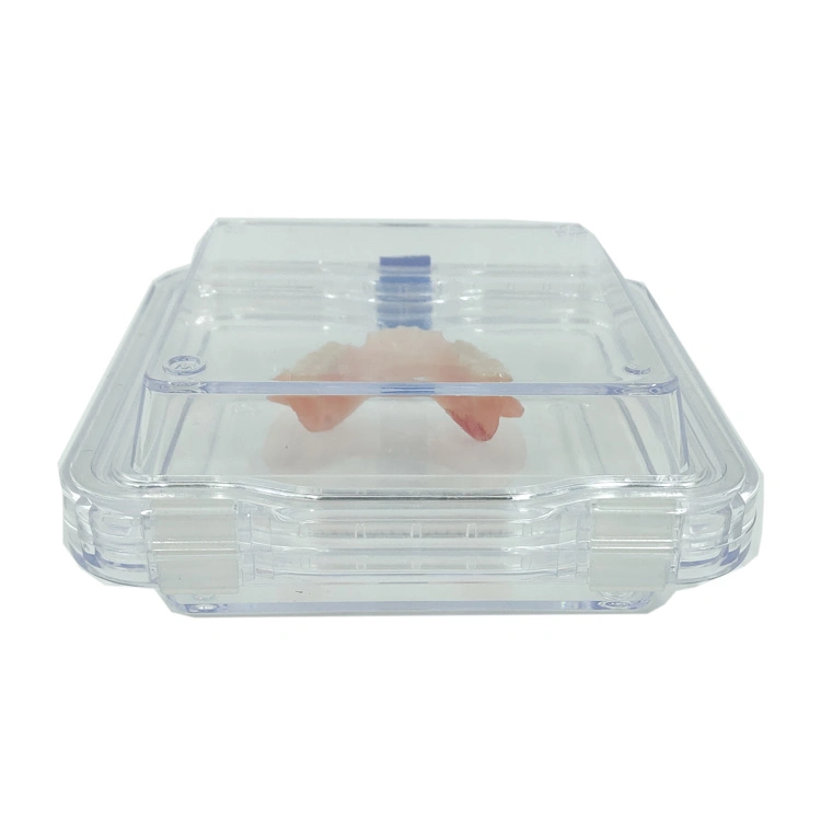 Hn-155 13X13X5cm Plastic Membrane Box jewelry /Electronic Chip/Watch/ Denture Storage Box