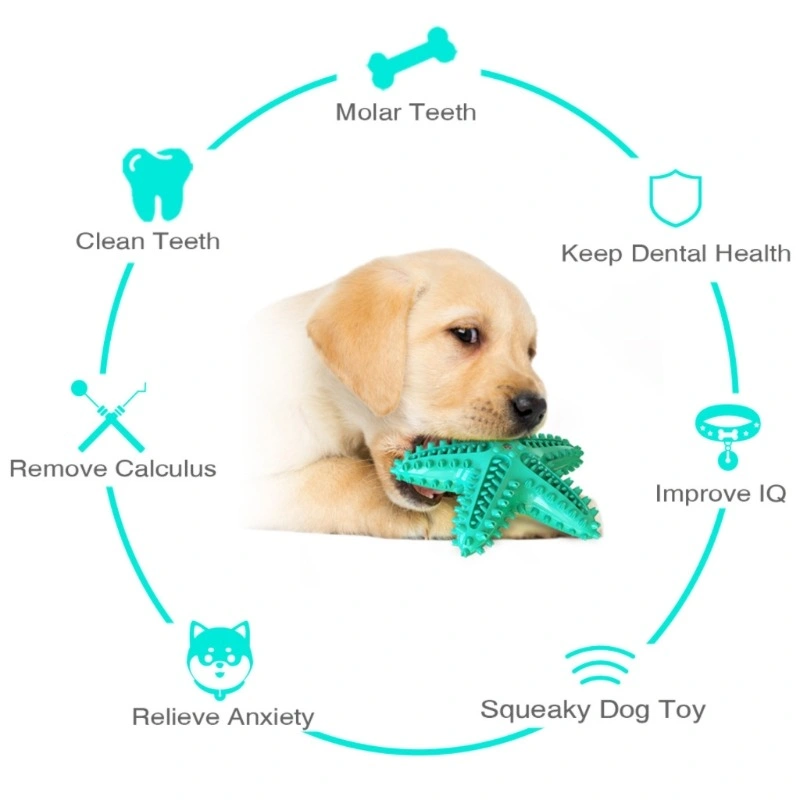 Pet Molar Toy Starfish Dog Toothbrush Outdoor Interactive Training Puzzle Dental Teeth Cleaning Puppy Theenthing Dog Toy