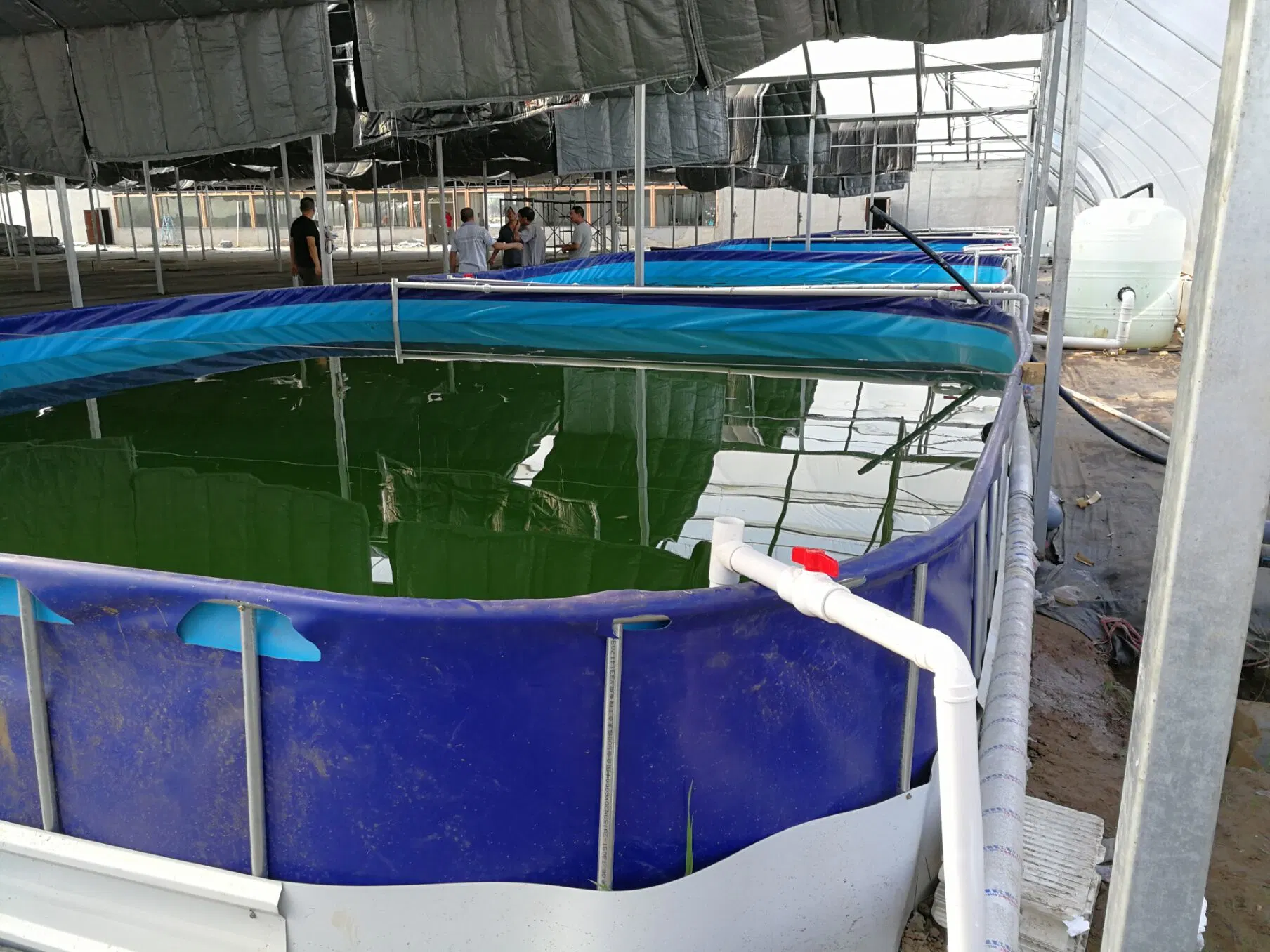 Tanques plegables de cultivo de peces de PVC para piscifactoría de camarones