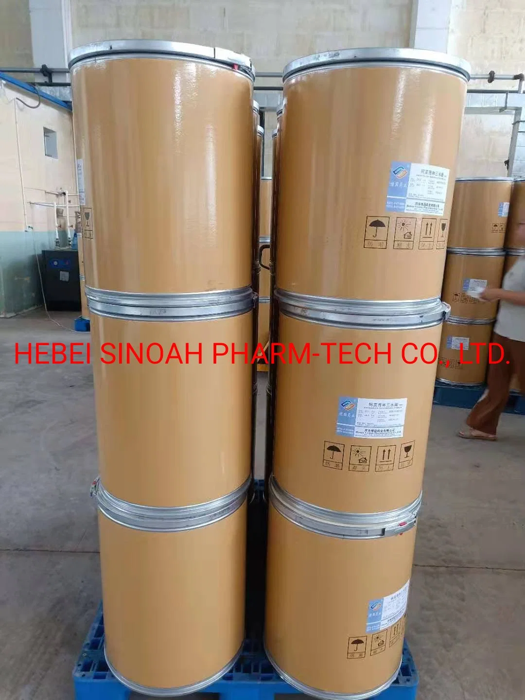 Amoxicillin Trihydrate Compacted Supplier From China