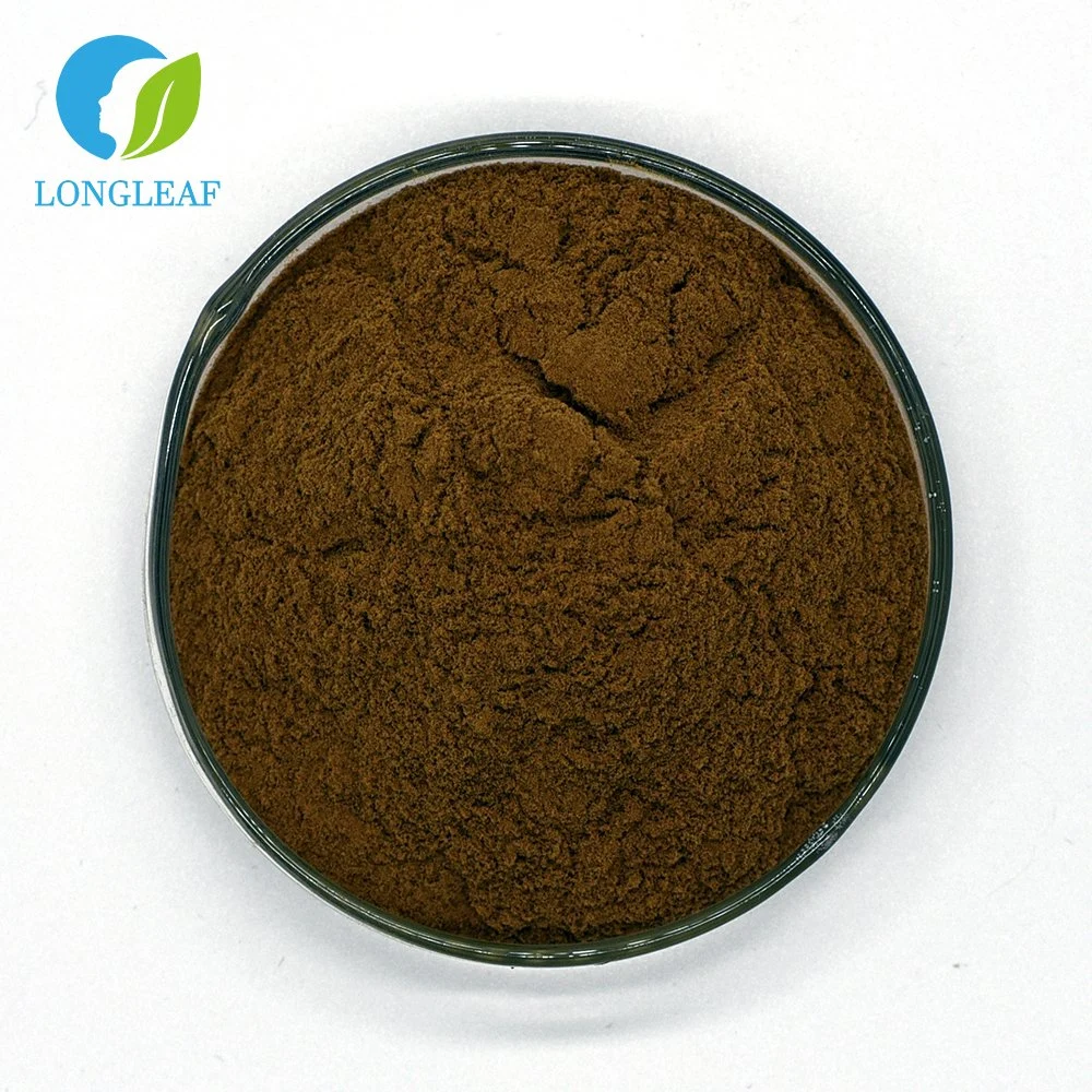 High Quality 100% Natual Leek Seed Powder