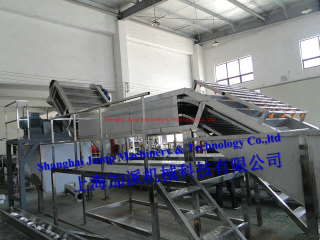 Carrot Puree Processing Equipment & Carrot Juice Processing Machine