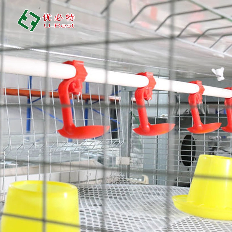 Automatic H/a Type Bird Broiler Chicken Battery Breeding Cages for Poultry Farm