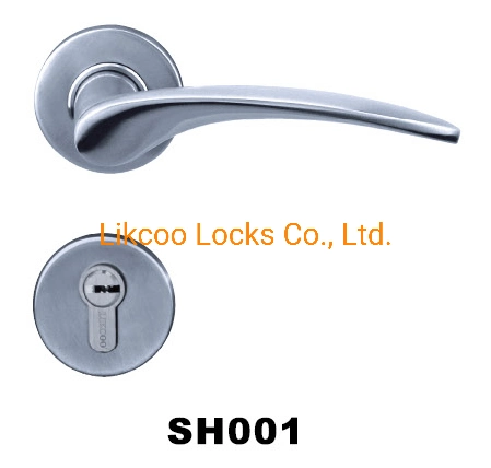 Stainless Steel Casting Door Handle (SH001)