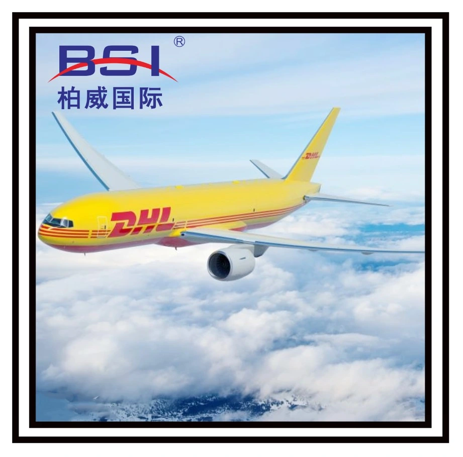 Seguro y rápido de China a Rusia Nt/dhl/UPS/FedEx Express