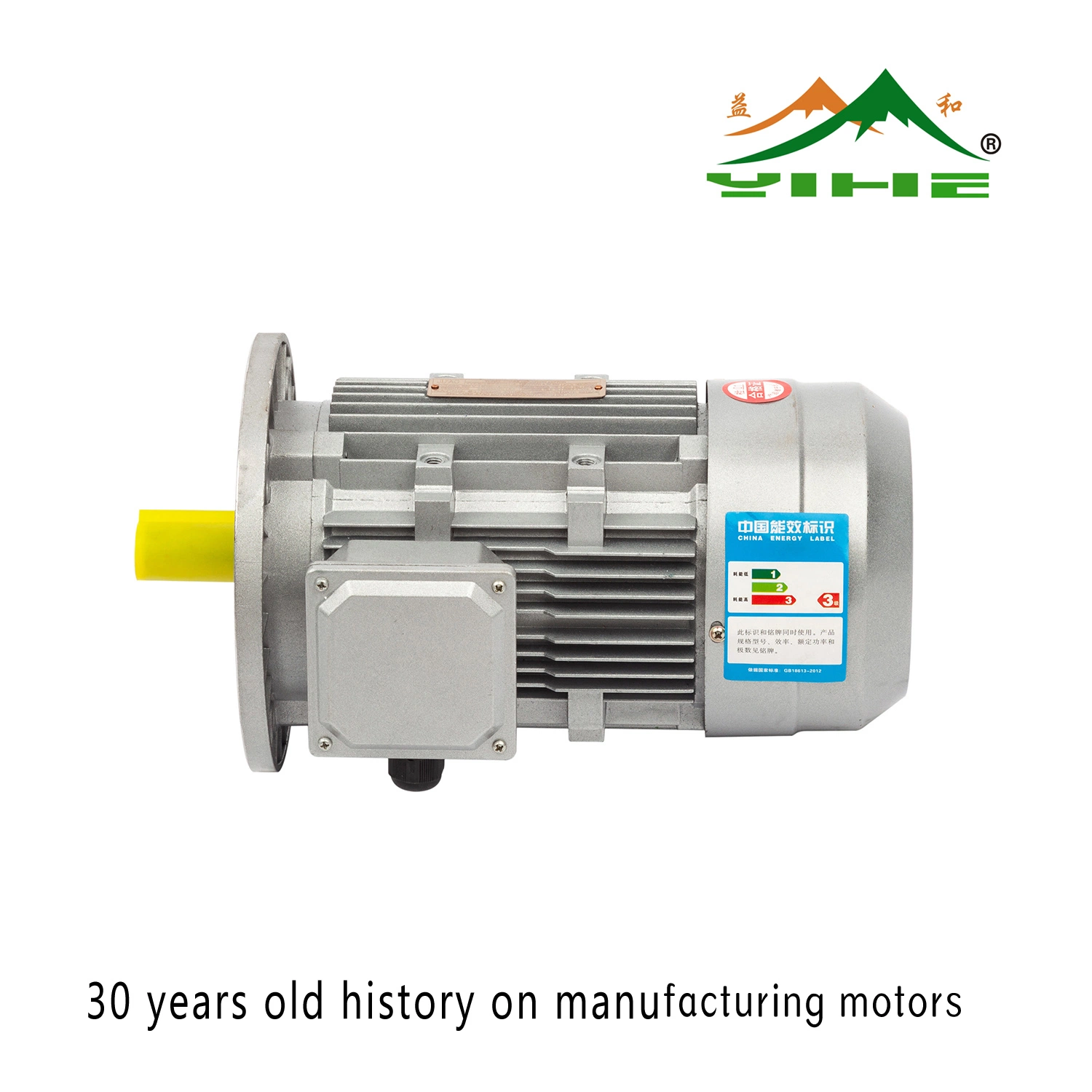 50Hz 220V 380V AC Three Phase Asynchronous Motor Ie2/Ie3 Ye2/Ye3 Yvp for Water Pump, Air Compressor Motor