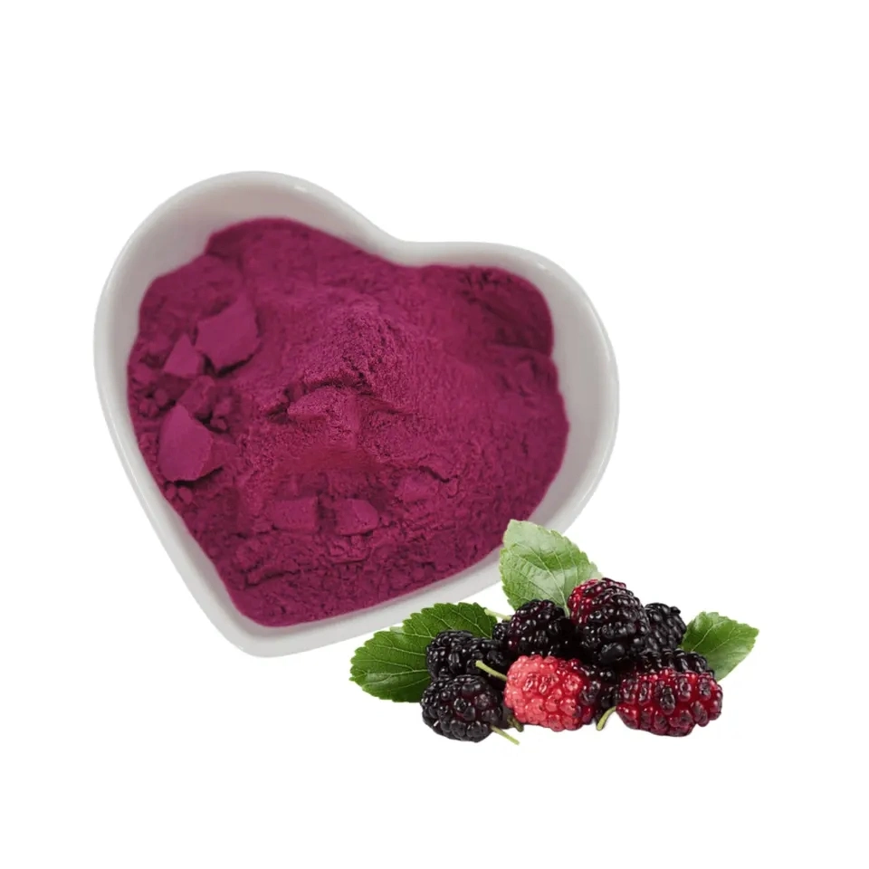 100% Pure Natural Mulberry Fruit Juice Extract Powder Mulberry Powder