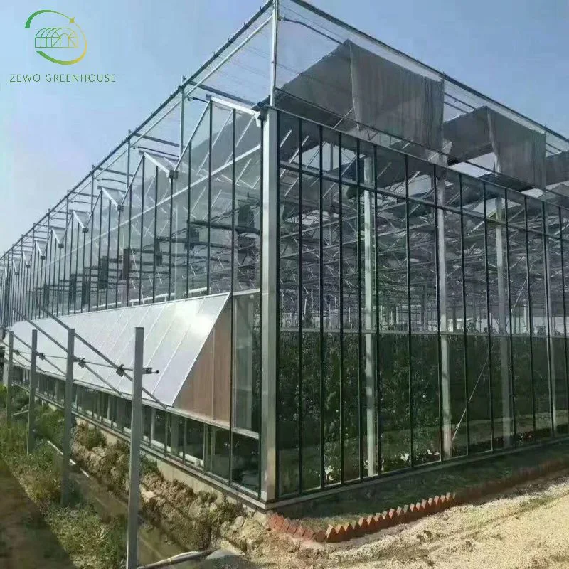 Landwirtschaftliche Glasfolie Gewächshaus mit Außen / Innen Schattierung und Kühlung System für Tomaten und Erdbeeren