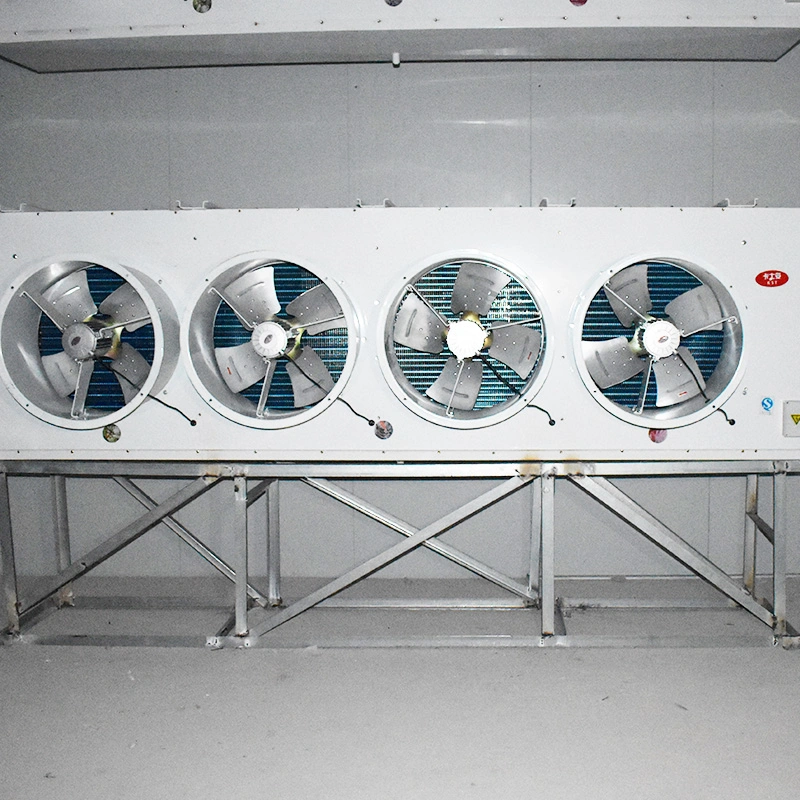 Small Medium Size Fish Fruit and Vegetable Cold Storage Room Cooling Machine Equipment Manufacturers