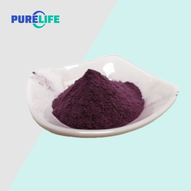 محترف مصنعين CAS 84082-34-8 الطعام الدرجة 25% Anthocyanidin Bilberry الاستخراج