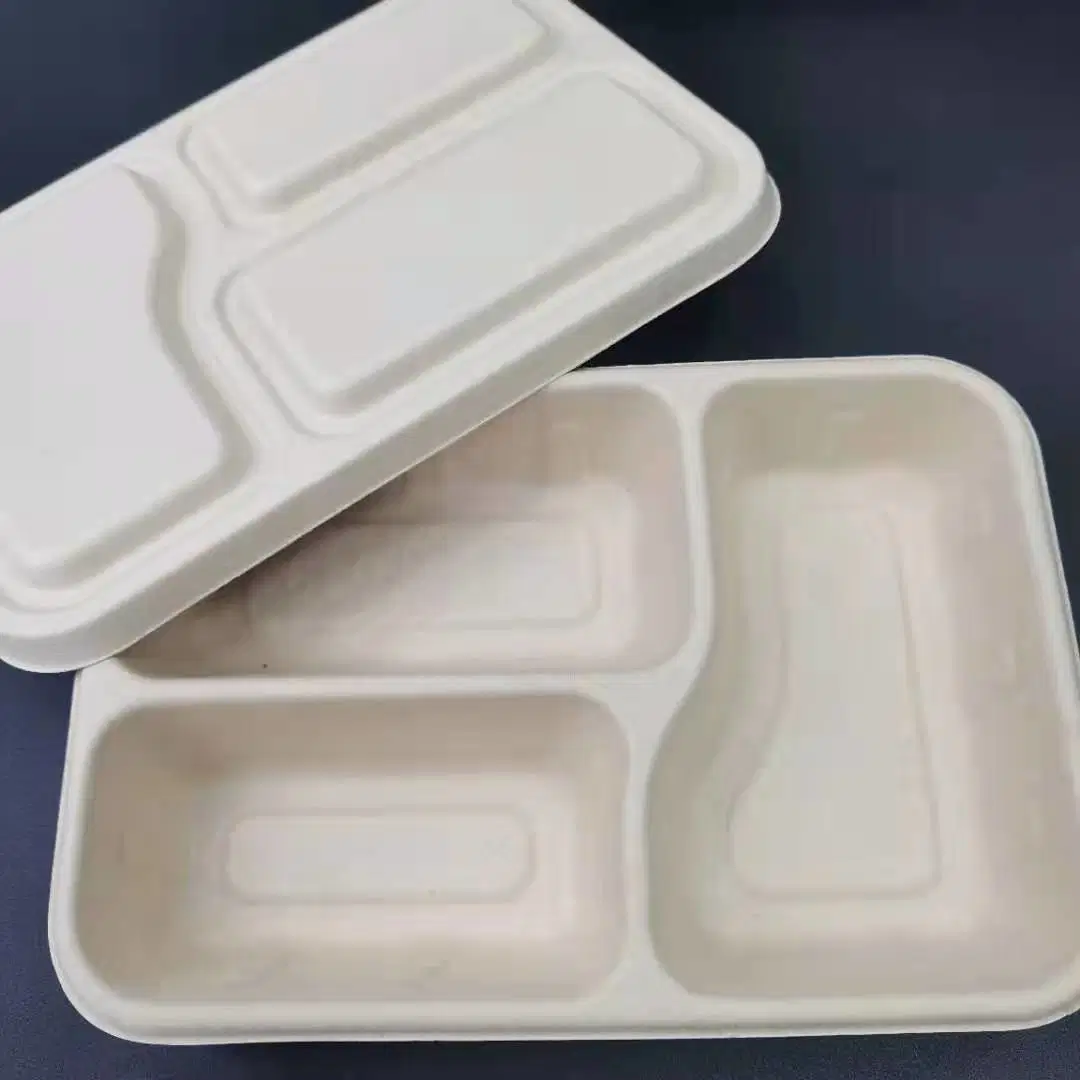 Disposable Eco-Friendly Pulp Burger Bento Cake Dessert Lunch Takeout Packaging Box Container