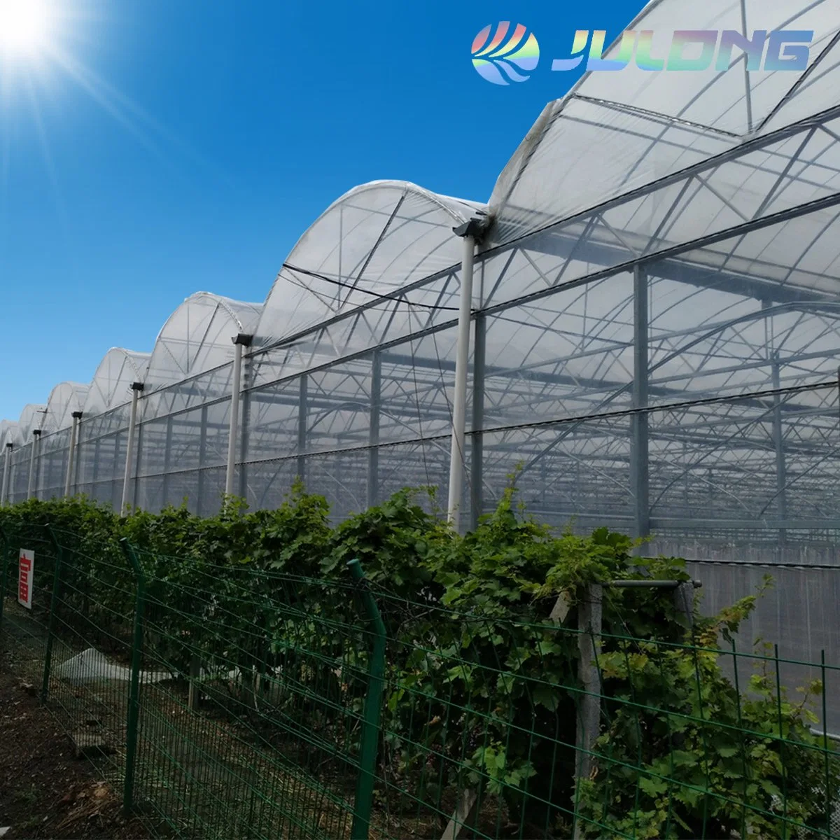 China Supplier Smart Farm Multi Span Agricultural Greenhouse with Vertical Farming Hydroponics Farm System for Sale