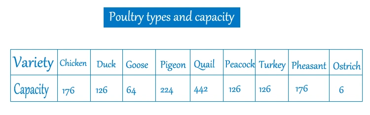 Cheap Price Algeria Chicks Quail Egg Incubator Supplier India