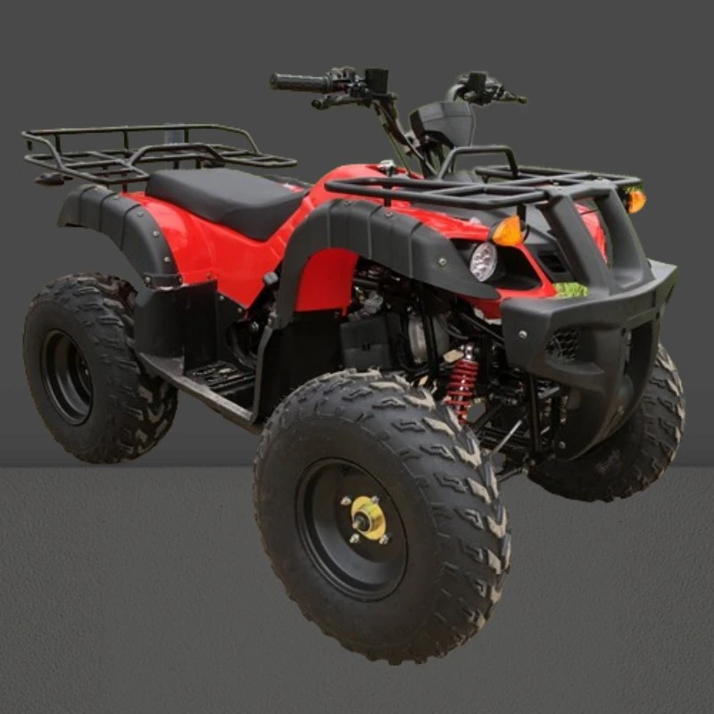 Quad Bike ATV pour jeunes et adultes avec moteur de 200cc.