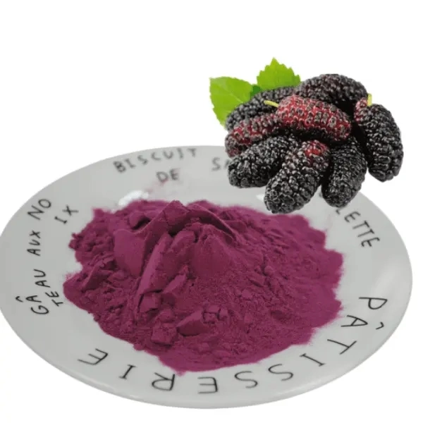 100% Pure Natürliche Mulberry Fruchtsaft Extrakt Pulver Mulberry Pulver