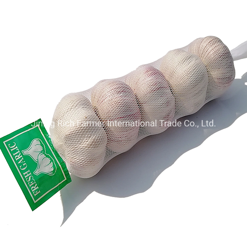 Pequenas embalagens 3PC 5HP 500g 1kg China Alho fresco