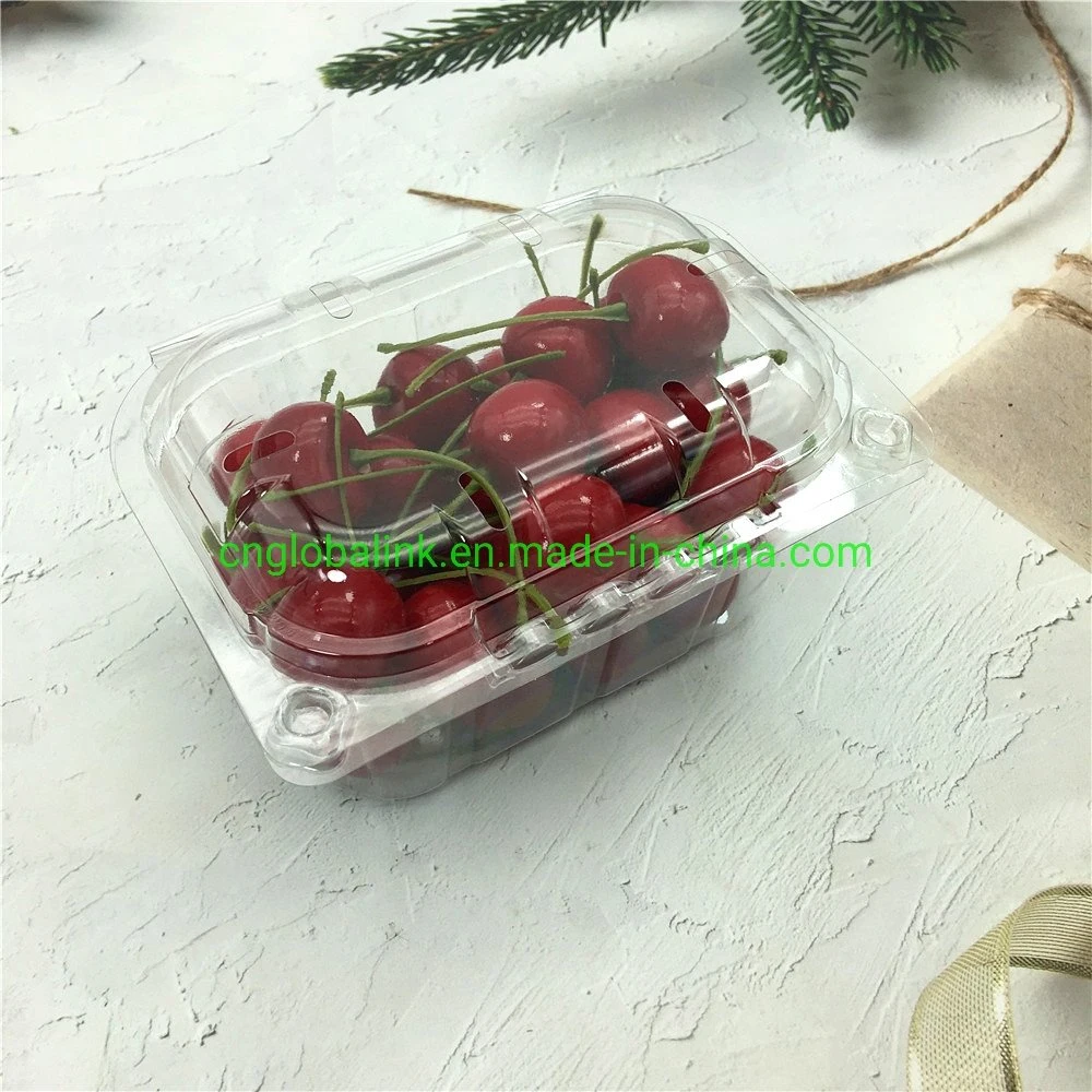 Disposable Plastic Blister Clamshells Fruit Packing Punnets Tomatoes 250 Grams Plastic Packaging