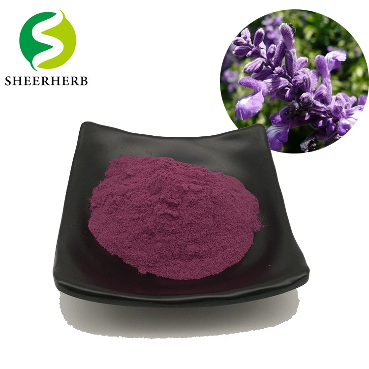 Sheerherb Supply Chinese Comfrey Extract Shikonin/ Alkanet Root Powder/ Lithospermum Gromwell Extract Alkannin