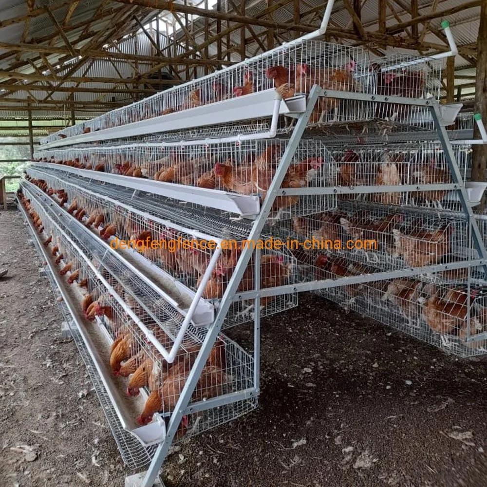 Design Modern Poultry Farm House / Direct Factory Preis Verzinkter Hühnerkäfig
