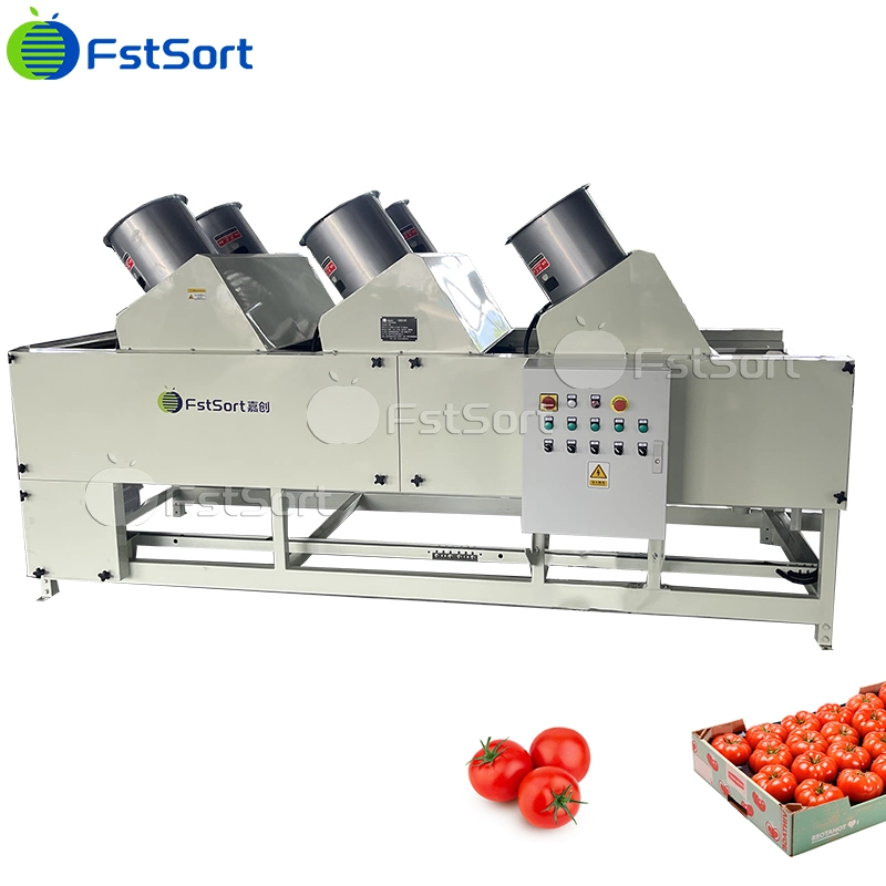 Clasificación de tomate Fstsort burbuja de la máquina Máquina de limpieza Secador de aire equipos de procesamiento de frutas verduras hortalizas tecnología de procesamiento de las empresas procesadoras