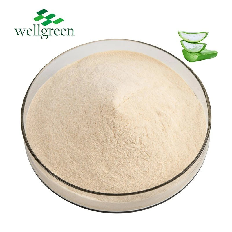 200: 1 Aloe Vera Gel Spray Dried Powder/Aloe Vera Extract Powder/Aloe Vera Extract