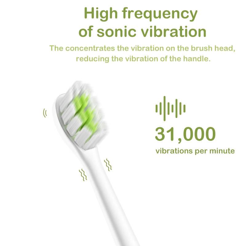 Chargeur sans fil IPX7 DuPont Bristle bébé électrique Sonic spécial pour enfants Brosse à dents enfants brosse à dents à deux têtes