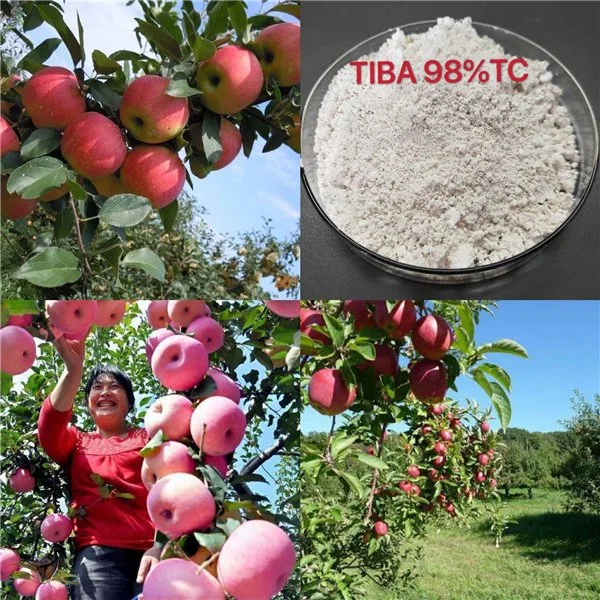 White Powder Tiba Triiodobenzoic Acid Tiba 98%Tc Plant Growth Regulator