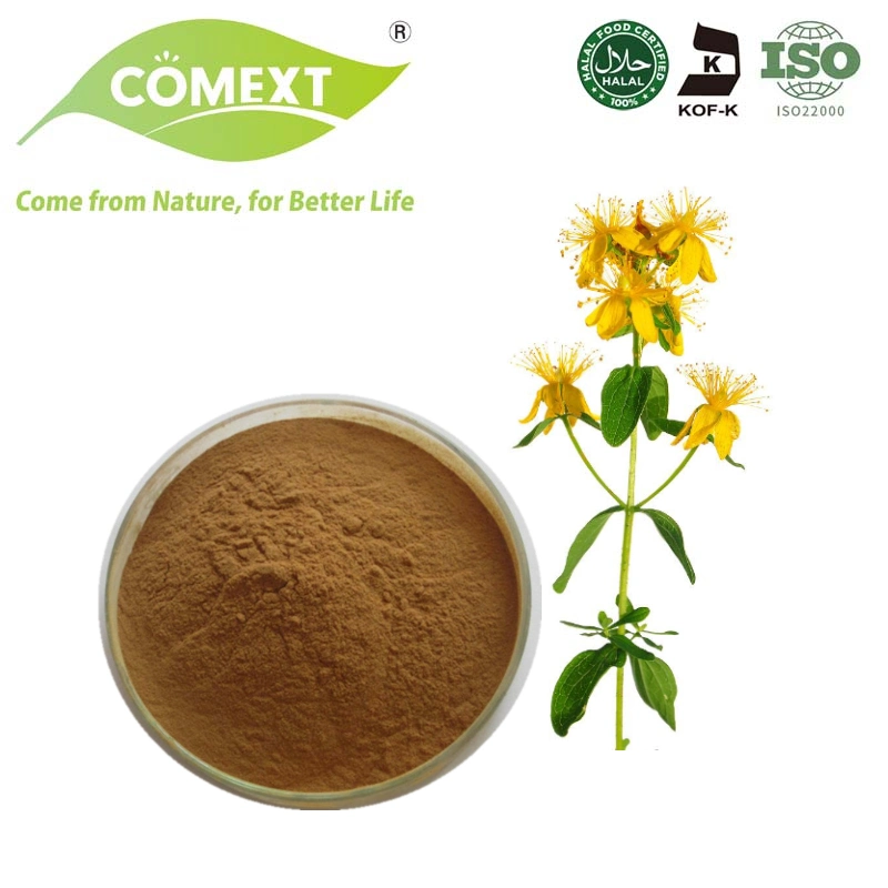 Comext Factory Supply Natural Perforatum Hypericum St Johns Wort Extract