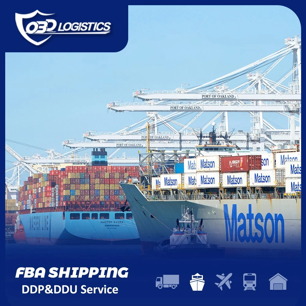 Empresa de logística profesional el transporte marítimo desde China a Estados Unidos Australia Dubai DDP DDU