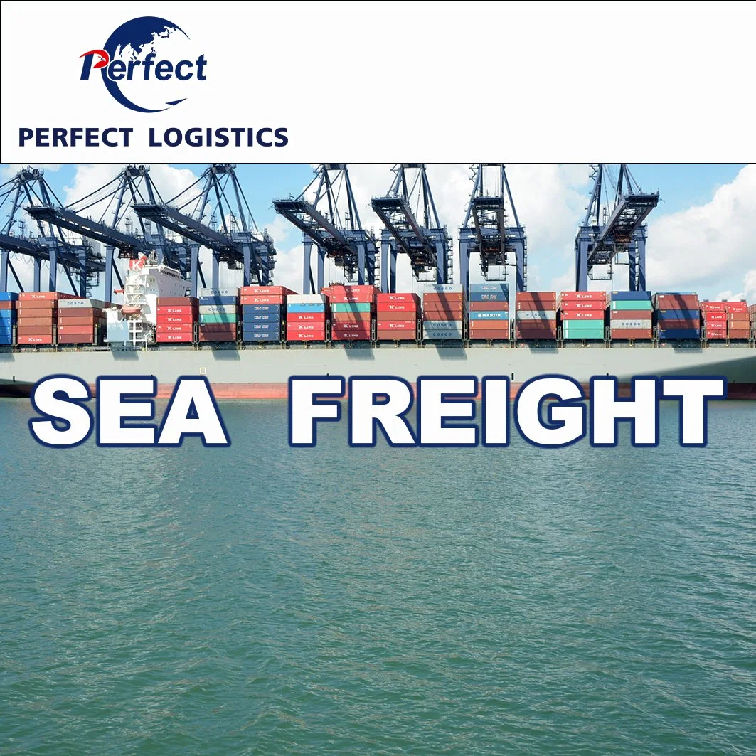 Railway Container Shipping Company, von Shenzhen China nach Russland Weißrussland