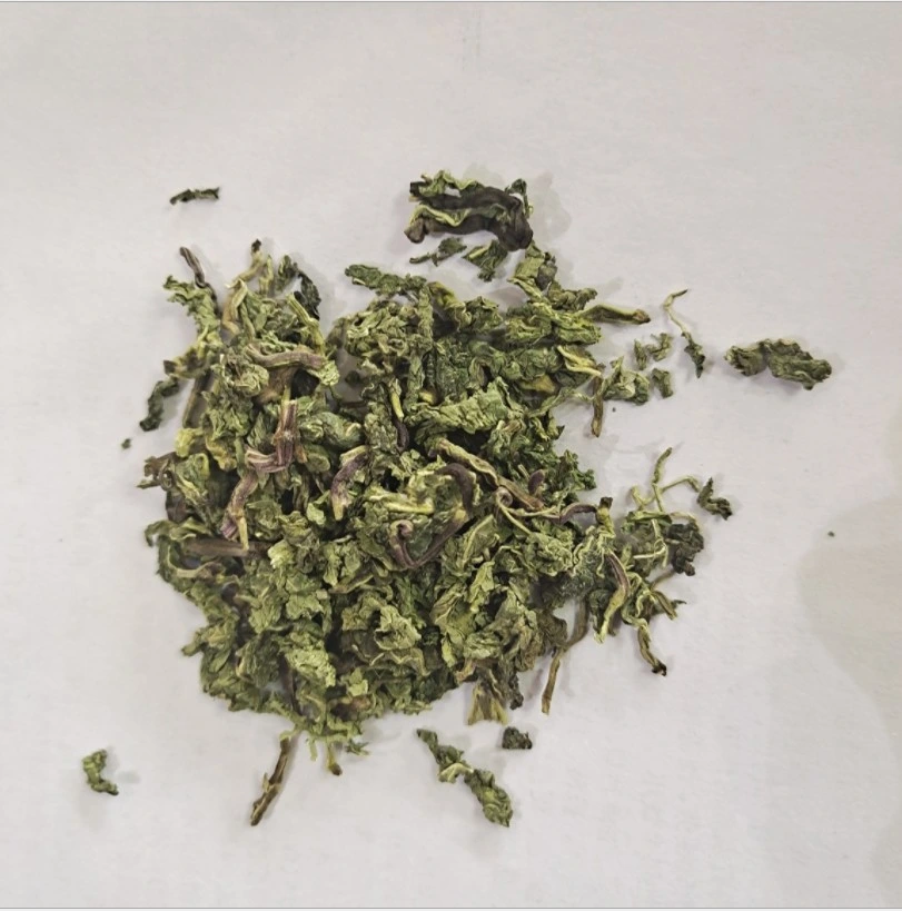 Té de menta de alta calidad granos secos de menta para hierbas