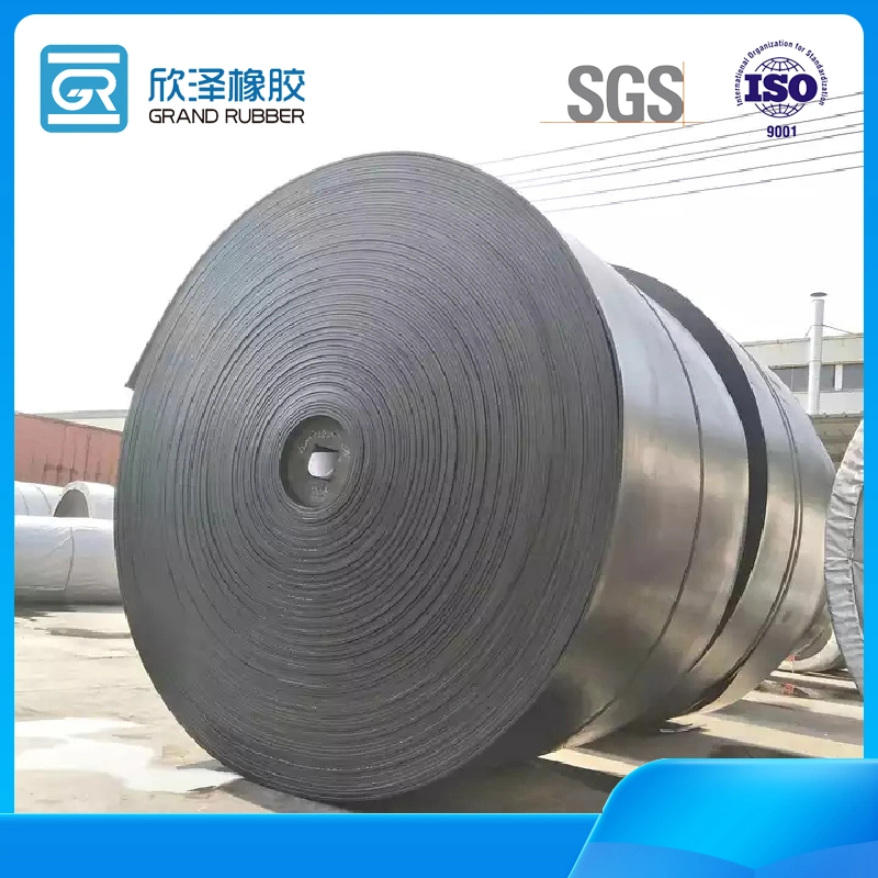 Cold Resistant Heat Resistant Ep 800 Rubber Conveyor Belt with ISO Standard