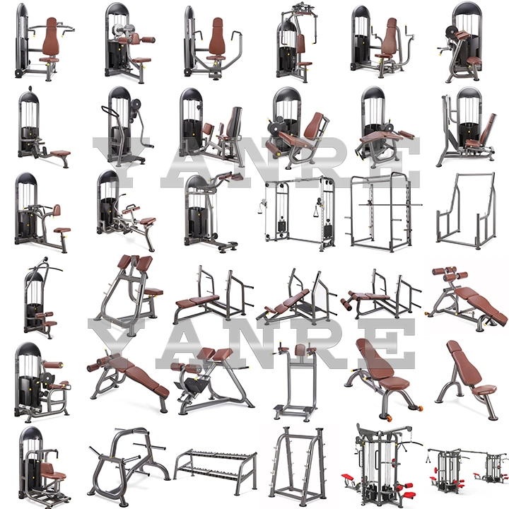 Professional Exercise Machine Commercial Gym Equipment Biceps Curl for Sale