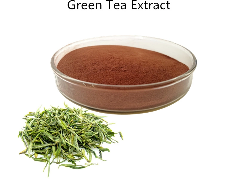 Supply Natural EGCG 50% From Green Tea Extract