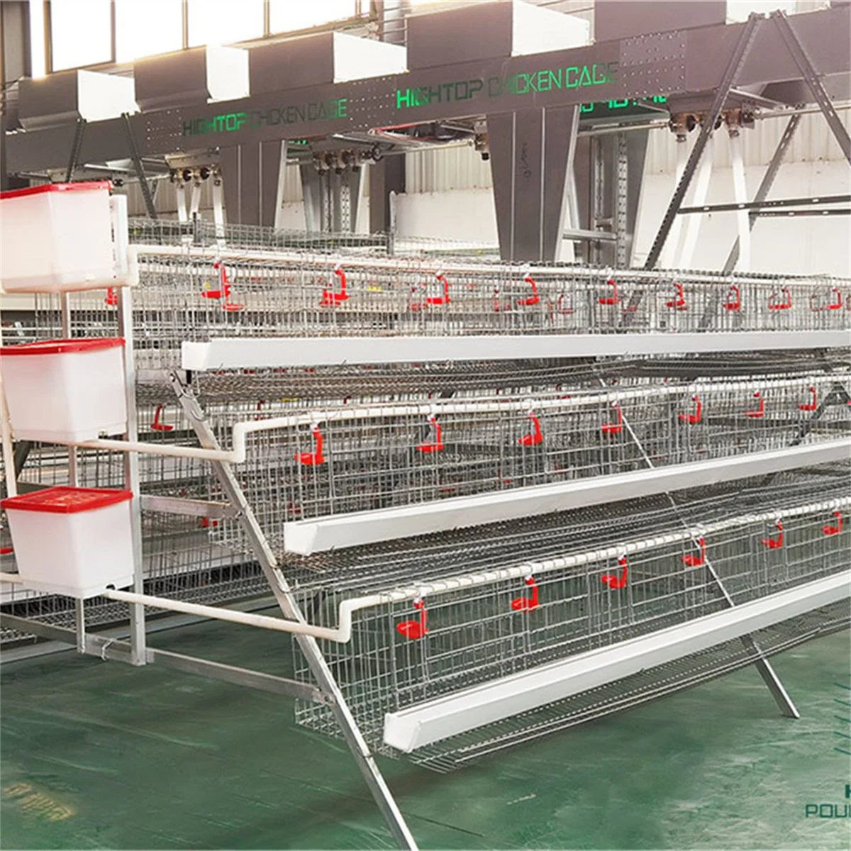 Chicken Farming/Farm Equipment/Machine Broiler Layer High Rate Baby Chicken Cage